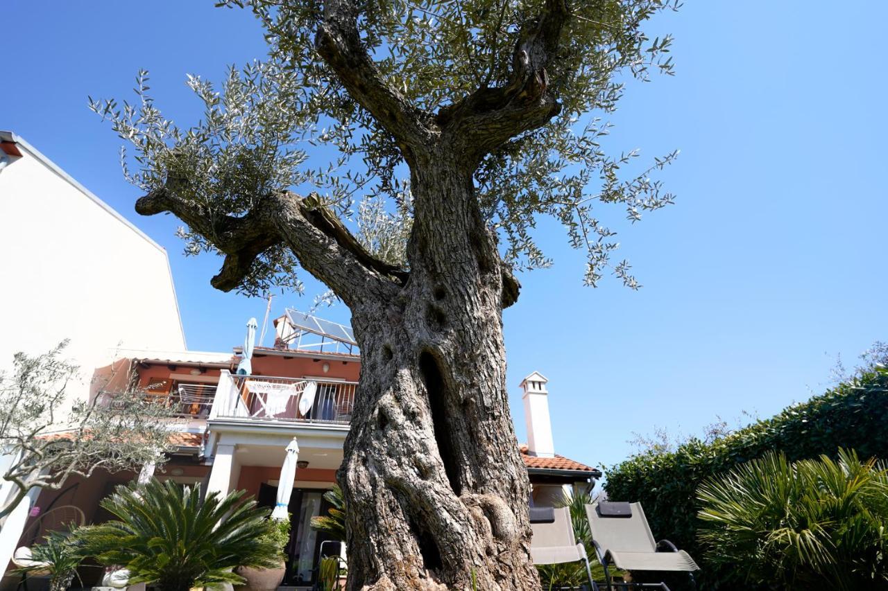 Apartments Palm View Rovinj Exterior photo